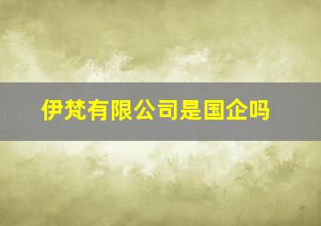 伊梵有限公司是国企吗