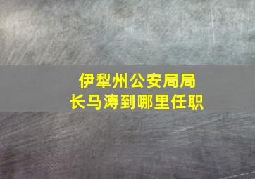 伊犁州公安局局长马涛到哪里任职