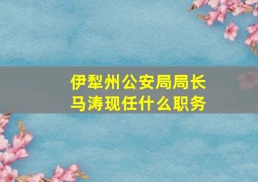 伊犁州公安局局长马涛现任什么职务