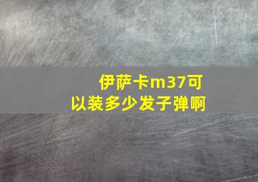 伊萨卡m37可以装多少发子弹啊