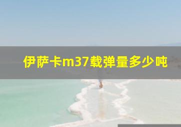 伊萨卡m37载弹量多少吨