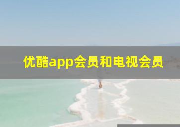 优酷app会员和电视会员