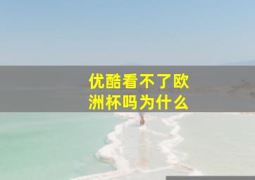 优酷看不了欧洲杯吗为什么