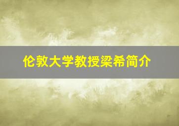 伦敦大学教授梁希简介