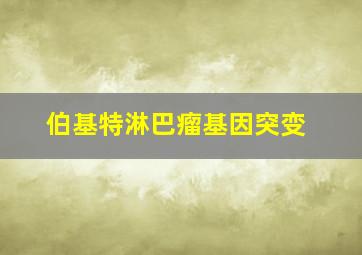 伯基特淋巴瘤基因突变