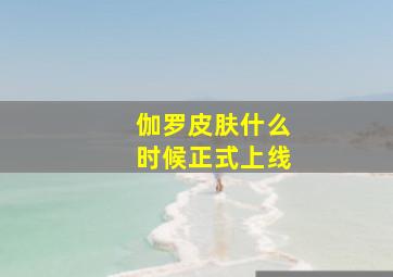 伽罗皮肤什么时候正式上线