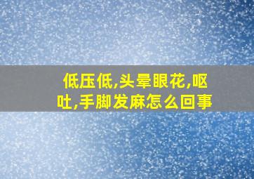 低压低,头晕眼花,呕吐,手脚发麻怎么回事