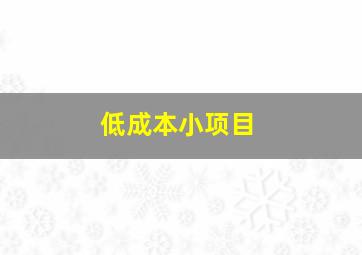 低成本小项目