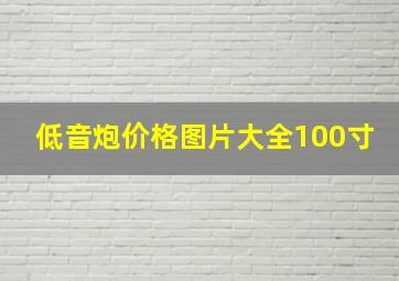 低音炮价格图片大全100寸