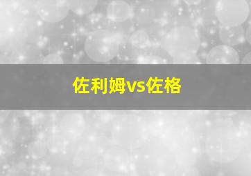 佐利姆vs佐格