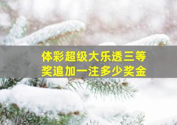 体彩超级大乐透三等奖追加一注多少奖金