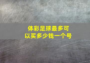 体彩足球最多可以买多少钱一个号