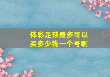 体彩足球最多可以买多少钱一个号啊