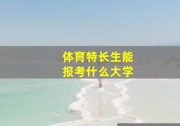 体育特长生能报考什么大学