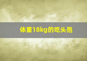 体重18kg的吃头孢