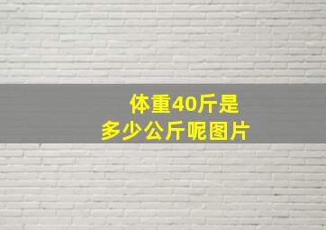 体重40斤是多少公斤呢图片