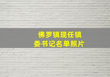 佛罗镇现任镇委书记名单照片