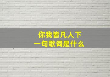 你我皆凡人下一句歌词是什么