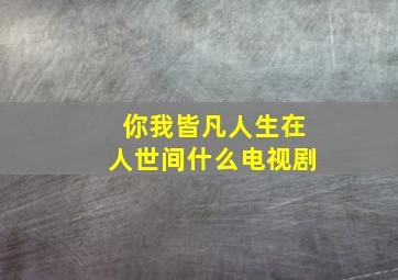 你我皆凡人生在人世间什么电视剧