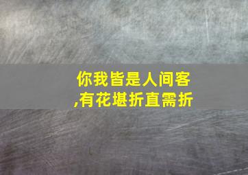 你我皆是人间客,有花堪折直需折