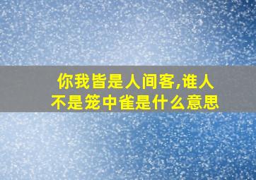 你我皆是人间客,谁人不是笼中雀是什么意思