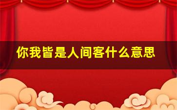 你我皆是人间客什么意思