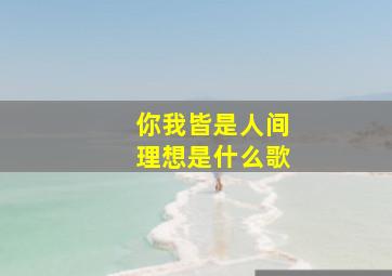 你我皆是人间理想是什么歌