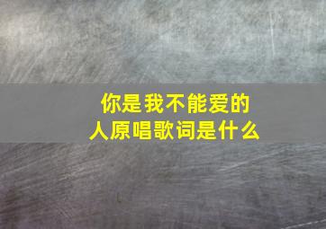 你是我不能爱的人原唱歌词是什么