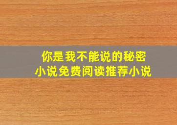 你是我不能说的秘密小说免费阅读推荐小说