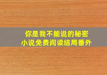 你是我不能说的秘密小说免费阅读结局番外