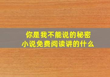 你是我不能说的秘密小说免费阅读讲的什么