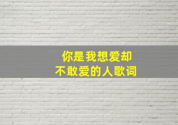 你是我想爱却不敢爱的人歌词