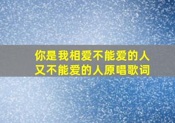 你是我相爱不能爱的人又不能爱的人原唱歌词