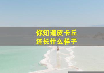 你知道皮卡丘还长什么样子