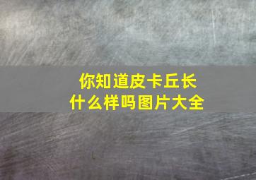 你知道皮卡丘长什么样吗图片大全