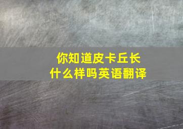 你知道皮卡丘长什么样吗英语翻译