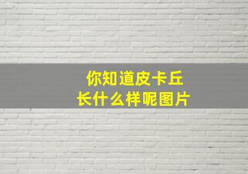 你知道皮卡丘长什么样呢图片