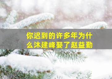 你迟到的许多年为什么沐建峰娶了赵益勤