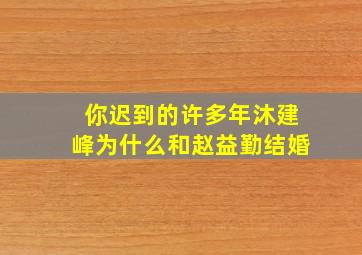 你迟到的许多年沐建峰为什么和赵益勤结婚