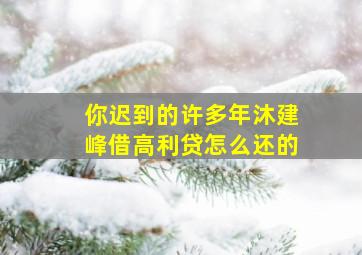 你迟到的许多年沐建峰借高利贷怎么还的