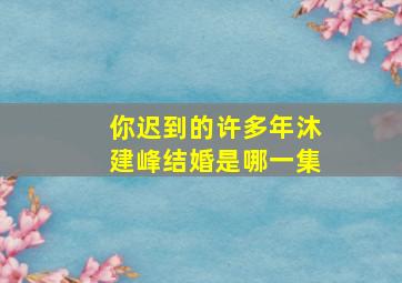 你迟到的许多年沐建峰结婚是哪一集