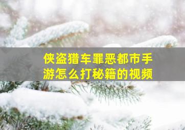 侠盗猎车罪恶都市手游怎么打秘籍的视频