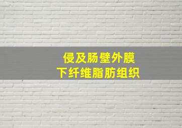 侵及肠壁外膜下纤维脂肪组织