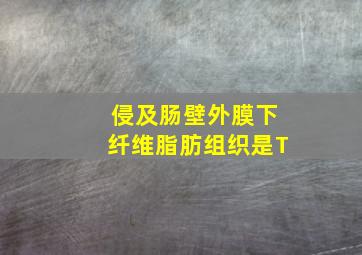 侵及肠壁外膜下纤维脂肪组织是T