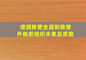 侵润肠壁全层到肠壁外脂肪组织未累及浆膜