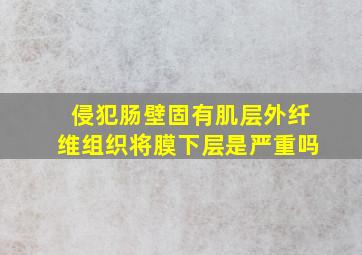 侵犯肠壁固有肌层外纤维组织将膜下层是严重吗