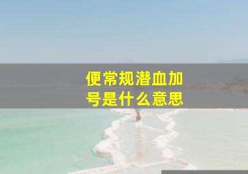 便常规潜血加号是什么意思