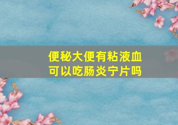 便秘大便有粘液血可以吃肠炎宁片吗