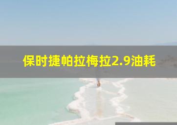 保时捷帕拉梅拉2.9油耗