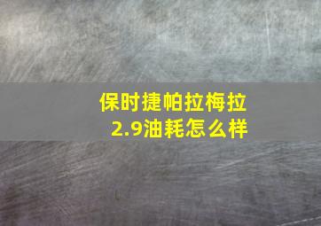 保时捷帕拉梅拉2.9油耗怎么样